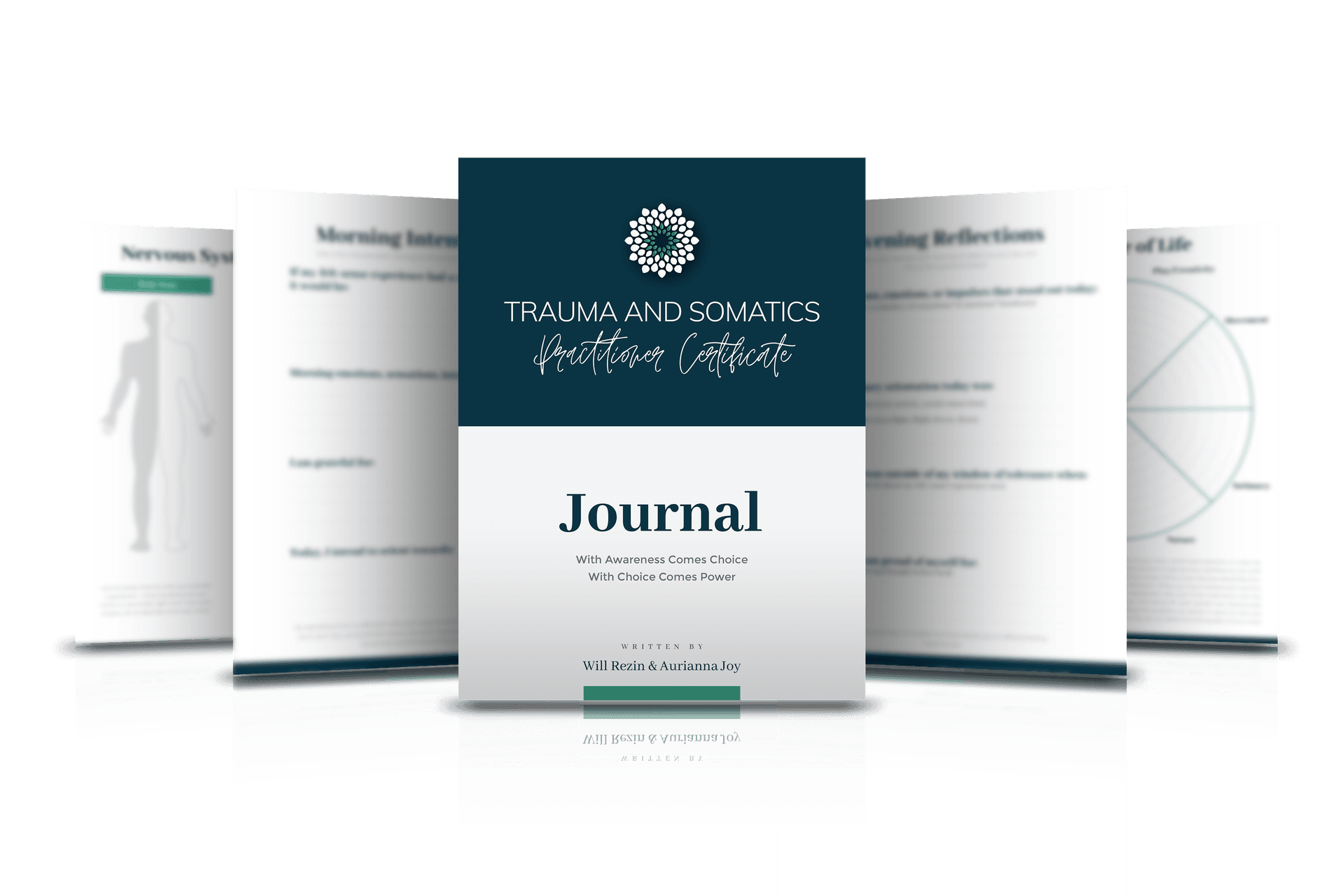 The workbooks and journal