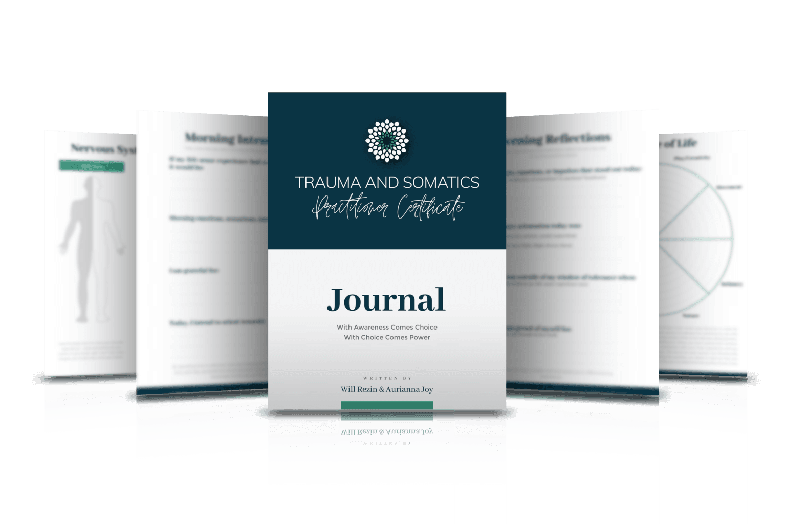 The Trauma and Somatics personal journal